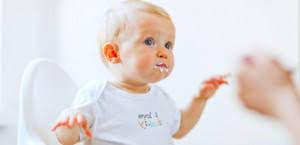 Alimentacao De Um Bebe De 9 Meses Mae Me Quer