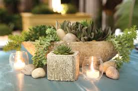 Altman is a west coast and i am near east coast. Succulents In The Spotlight Garden Center Magazine