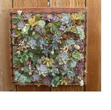 Wall Succulent Planter Succulent Wall Planter Succulents Garden Wall Planter