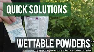 How are reviewers describing this item? How To Use Demon Wp Insecticide Powder Youtube