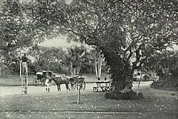 Malabar Hill - Wikipedia