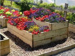 Pin On Gardening