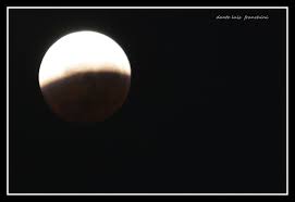 Dante Luis Franchini