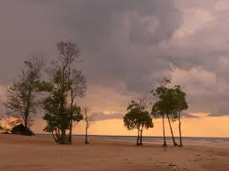 6 darwin air & helicopter tours. Beste Reisezeit Fur Darwin Klima Und Wetter 6 Monate Zu Vermeiden