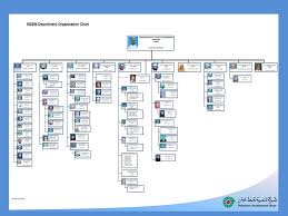 Msem Department Organization Chart Ppt Download