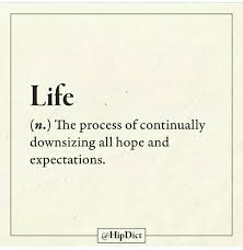 Pin By Ashley Stull On Word Meister Funny True Quotes Word Definitions Funny Definition