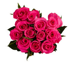 Flowers of war definitely has the look and feel of. Floral Arrangements In Floral Department Pick N Save