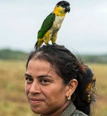 Faculty and Students