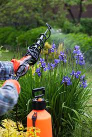 In fact, it is a completely safe natural bug spray for use around newborns and nursing mothers. Mosquito Tick Pest Control Services Nw Indiana Rlm