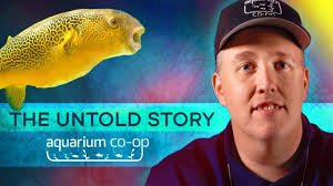 The Untold Story of AQUARIUM CO-OP