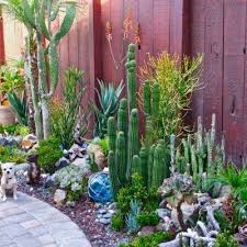 Succulent Garden Ideas Photos Outdoor Garden Decor Outdoor Cactus Garden Succulents Garden