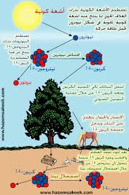 كيف يستخدم كربون 14 في حساب العمر موهوبون موقع المخترعين والمبتكرين العرب