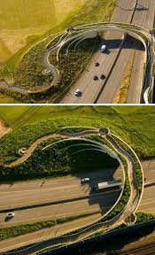 Wonderful Land Bridge In Vancouver Washington Usa Urban Landscape Landscape Architecture Pedestrian Bridge
