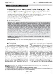 Image result for Impatiens gesneroidea