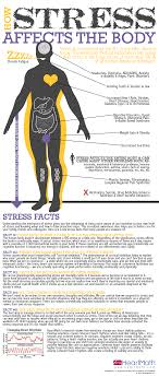 How Stress Affects The Body Yoga Health Health Fitness Cat Health Tips