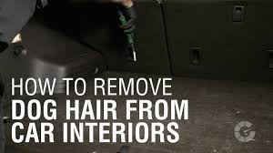 See full list on wikihow.com How To Remove Pet Hair From Your Car Autoblog