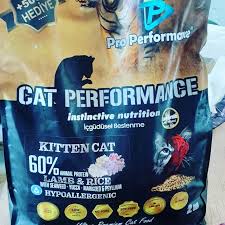 Cat Pro Performance Kitten Yavru Kedi Mamasi Kayseri Ildem Star Kus Ve Balik Evi Facebook