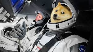 Britta pedersen/pool/afp via getty images. Elon Musk Wants To Go All In On Doge Tweaktown