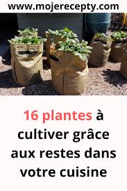 Epingle Sur Conseils