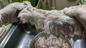 Reel And Grill: Tsitsaron Or Chicharon Bulaklak (Deep Fried Pork Mesentery)