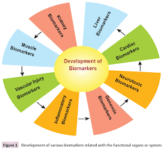 Maybe you would like to learn more about one of these? Biomarkers An Essential Gizmo In Pesticide Toxicity Insight Medical Publishing