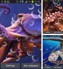 Download octopus 6.1.4 and all version history for android. Octopus Live Wallpaper For Android Octopus Free Download For Tablet And Phone