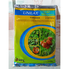 Namun di lapangan selama ini belum dilaporkan. Unilax 72wp 250gr Fungisida Pembasmi Jamur Penyakit Tanaman Tomat Pestisida Pembasmi Jamur Shopee Indonesia