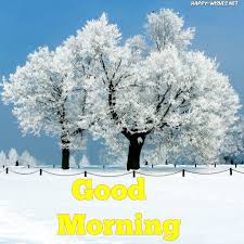 Good Morning Wishes With Snow On The Tree Images Good Morning Winter Images Good Morning Winter Good Morning Photo by duke moose @dukemoose. good morning wishes with snow on the