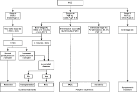 Chart Shows The Barcelona Clinic Liver Cancer Staging And