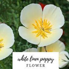 I suggest picturing how you would like the arrangement to be before. Pin On Garden
