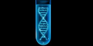 Man kann selbst entscheiden, ob man für oder gegen genmanipulation ist. Geschlossenes System Und Freie Natur Oder Die Wandlungen Der Gentechnik Kritik Blog Transgen De