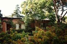 We did not find results for: Residencia Canina El Tomillar En Madrid