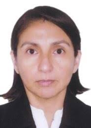 CONVOCATORIA N° 008-2017-SN/CNM