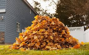 Maybe you would like to learn more about one of these? Why Leaf Mould Should Be The Cornerstone Of Your Garden The Telegraph
