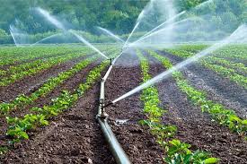 Sprijinul public nu va depăși 1.000.000 euro/proiect pentru. AgenÅ£ia Pentru FinanÅ£area InvestiÅ£iilor Rurale News Ro