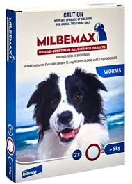 Pups need to be wormed at 2 weeks of a broad wormer which covers all intestinal worms is recommended for a pregnant dog. Is Milbemax The Best Wormer For Dogs And For Cats