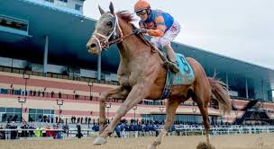 With the 146th annual kentucky derby right around the bend, we're bringing you a list of things you might not have known about the iconic horse race. How Old Are Horses That Run In The Trivia Questions Quizzclub