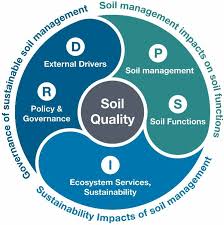 In 1988, part x was repealed when the fire services act 1988 (act 341) came into force. Sustainability Free Full Text Assessment And Governance Of Sustainable Soil Management Html