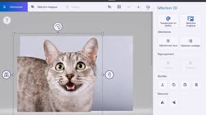 You should use a format that allows transparency, like gif or png. Fond Transparent Paint 3d Youtube