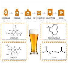 Epingle Sur Brassage Brewing