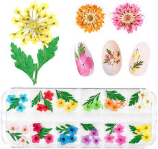 That is a very special and specific project but there are tons of other things you can do with dried flowers too. Buy Limglim 120pcs Nail Dried Flowers Resin Accessories 3d Nail Art Supplies Stickers Manicure Decor Mixed Accessories For Nail Art Supplies Natural Real Dry Flower Kit With A Curved Tweezers Online In
