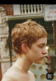 Carol Stringer (teajunkie)