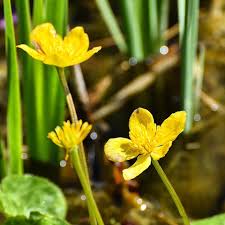 Instagram Photo By Paddi May 10 2016 At 3 02am Utc Instagram Instagram Posts Instagram Photo