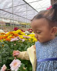 Coz I Love Flowers 💐 📍Jic Seng Nursery Kundasang