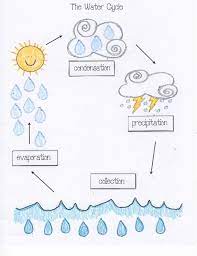 Water Cycle Activities Classroom Freebies Water Cycle Activities Water Cycle Craft Water Cycle