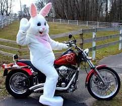Pin On Home Is Where The Harley Is