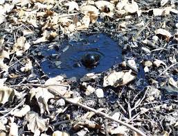 Llc petroleum shipping is an oil company whose main activity is the sale of petroleum products and the storage and shipping of oil and crude we do business mainly in crude oil and petroleum products, as well as fertilizers. Petroleum Students Britannica Kids Homework Help