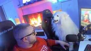 Watch the clip to be transported back to the 1300's and. Cutest Dog On Twitch Goes Viral After Hijacking Stream To Be Petted Dexerto