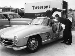 Image result for Elfenbein 1986 Fleet