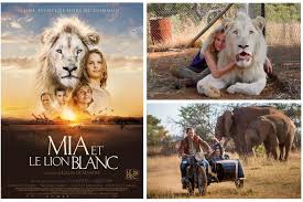 Mia and the white lion (2018). Mia Et Le Lion Blanc Daniah A Rencontre Le Lion Charlie Des Sa Naissance
